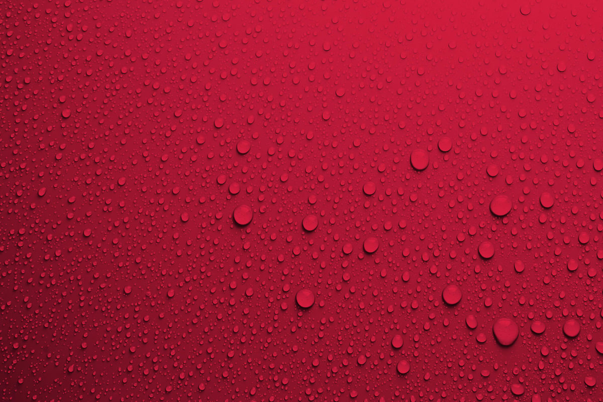 sies sistemi_proti_vlagi